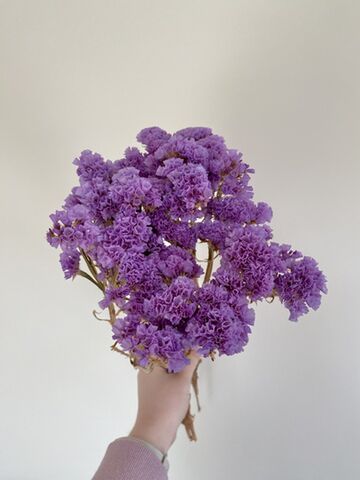 New Season - Dried Statice Bunch