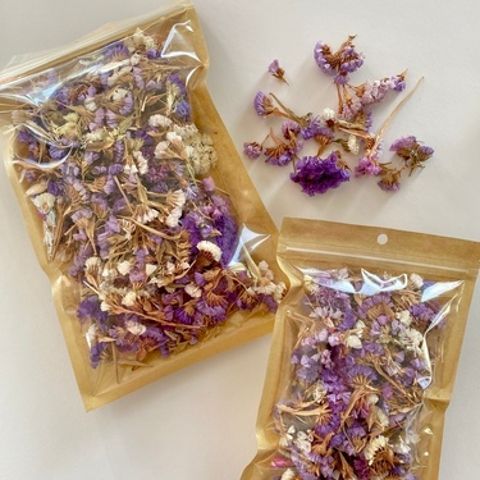 Statice Petals / Pieces